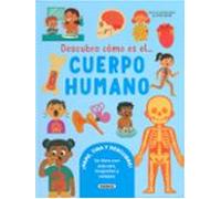 Descubro Cómo Es El Cuerpo Humano