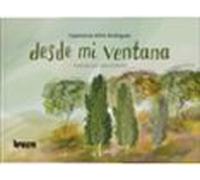 Desde Mi Ventana
