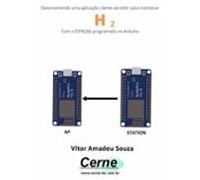 Desenvolvendo Uma Aplicação Cliente-servidor Para Monitorar H2 Com O E