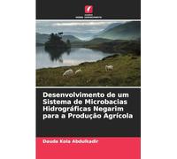 Desenvolvimento de um Sistema de Microbacias Hidrográficas Negarim para a Produção Agrícola