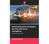 Desenvolvimento estratégico de infra-estruturas energéticas: Liderança, risco e execução