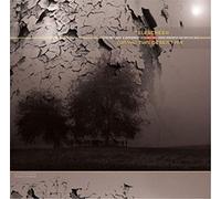 Desert Air - Koi Splits Series #2 [Vinilo]