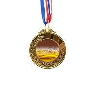 Desert Along the Way to the Silk Road Map Gold Award Medal First Place Ribbon