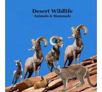 Desert Animals and Mammals Kids Wildlife Book: Great Book About Animals that Live in the Hottest Deserts of America