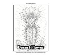 Desert Flower: A devotional journey through loss, surrender, and the slow miracle of blooming again.