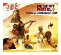 Desert Rebel & Abdallah Oumbadougou - Ishumars Les Rockers Oubliés Du Désert (Documentaire DVD + CD audio)