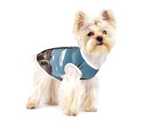 DesertCactiHorizon - Camiseta de alta calidad para perro, ropa suave 100% algodón para perros, perfecta para perros pequeños a medianos, camisas elegantes y cómodas para perros, talla L