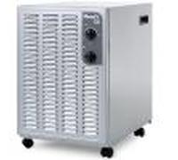 Deshumidificador profesional eléctrico Woods SW59FM Gris