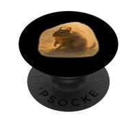 Desierto Polvo Degu Sunlit Escena PopSockets PopGrip Adhesivo