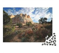 Desierto y Estepa, Paisaje Y Naturaleza, Puzzle para Adultos Y Niños, 1000 Piezas De Diversión En Familia, Un Desafío Emocionante para La Noche De Juegos 52x38cm/1000pcs