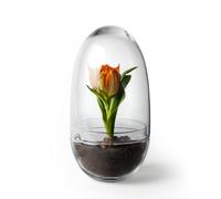 Design House Stockholm Invernadero Grow Medium ø11 cm