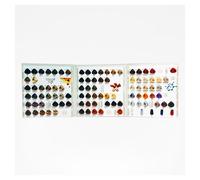 Design Look Carta de Color Lux 119 Tonos - 12 Nuevos Tonos, Incluye 10 Colores + 2 Mascarillas + 10 Crazy Color, Mezclables