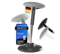 DESKSPACE Motion - Taburete ergonómico para Oficina y Suelo, Ajustable en Altura, con Base y Asiento Extra Grande, para prevenir Dolores en la Espalda y el Cuello (Gris)