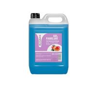 DESMABEL Gel Familiar con Esencia de Mango | Garrafa de 5 L | Limpieza Corporal para Baño, Ducha y Manos | Cuidado Diario para Toda la Familia pH 5.5 | Formato Profesional