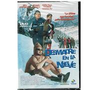 Desmadre en la nieve