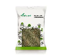 Soria Natural Desmodium Adscendes en Bolsa - Favorece la Función del Hígado - Para Preparar en Infusión o Decocción - Mayor Riqueza de Principios Activos - 100% Natural - Bolsa de 40 g