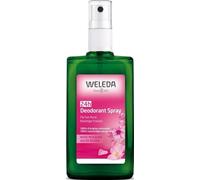 DESODORANTE ROSA SPRAY