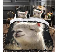 Despegue del avión Funda de Edredón incluye Fundas de Almohada Juego de 3 Piezas Estampado 3D Cremallera Oculta Antialérgica Vista aérea del atardecer Funda Edredon for niña Double（200x200cm）