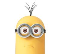 Despicable Me Lienzo Impreso Kevin Close Up 40 x 50 cm, Poliéster, Multicolor, 40x50x3.2 cm