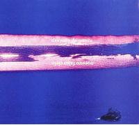 Despues De Nunca - Nuestro Falso Cielo [Import]