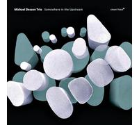 Dessen Michael Trio - Somewhere in the Upstream