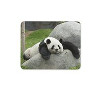 Destination Vinyl Ltd Adorable Alfombrilla de ratón con diseño de Oso Panda - Oso Animal Kids Fun Gift PC Computer #8307