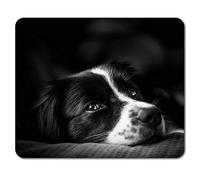 Destination Vinyl Ltd Border Collie - Alfombrilla para ratón, diseño de Perro de Granja y ovejas