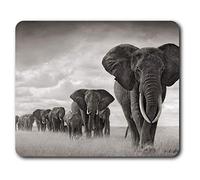 Destination Vinyl Ltd Estera cómoda del ratón - Elefante Africano Manada 23.5 x 19.6 cm (9.3 x 7.7 Pulgadas) para la computadora y el Ordenador portátil, Oficina, Regalo, Base Antideslizante - RM8955