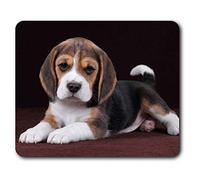 Destination Vinyl Ltd Estera cómoda del ratón - magnífico Perro Beagle 23.5 x 19.6 cm (9.3 x 7.7 Pulgadas) para la computadora y el Ordenador portátil, Oficina, Regalo, Base Antideslizante - RM3087
