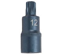 Destornillador Vaso Aleación de acero Pavonado Llave rápida Adaptador de broca de 12 puntos y 1/2 puerto de accionamiento (M12)