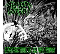 Destruction Is All We Know [Vinilo]