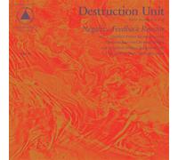 Destruction Unit - Negative Feedback Resistor [Vinilo]