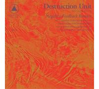 Destruction Unit Negative Feedback Resistor (Vinyl) 12" Album (Importación USA)