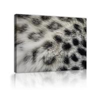 Detalles de piel de leopardo Dibujo mural de lienzo Imágenes de estampado animal Obras de arte Safari modernos Pósters de moda Safari Pinturas para la decoración del dormitorio de la oficina 80x125cm