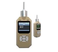Detector de Gas, Detector de Gas, Detector O3, Detector de fugas de Gas por bombeo de ozono, Monitor de ozono con de alarma, analizador de Gas, Sensor de Gas profesional(100ppm)