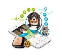 Detector de ubicación GPS para perros y gatos Kippy - Negro