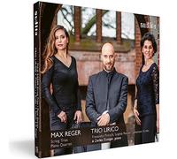 Detlev Eisinger - Reger : Trios à cordes - Quatuor pour piano. Eisinger, Trio Lirico.