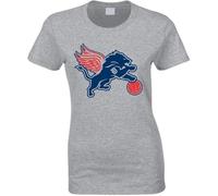 Detroit Sports Teams T-Shirt Lions Pistons Redwings Tigers Ladies Sports tee Sport(Large)