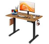 DEVAISE Escritorio Elevable Eléctrico,Mesa Regulable Rltura 100 x 60cm con 3 Memorias,Mesa de Oficina con Panel Inteligente en Casa con Tablero Ensamblado, Marrón Rústico