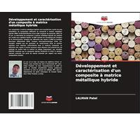 Développement et caractérisation d'un composite à matrice métallique hybride