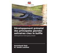Développement prénatal des principales glandes salivaires chez le buffle: Développement histologique prénatal