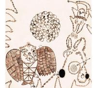 Devendra Banhart - Rejoicing in the Hands