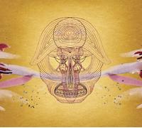 Devendra Banhart - What Will We Be (Int'l Jewelcase)