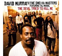 Devil Tried to Kill Me by David & The Gwo-Ka Maters Featuring Taj Mahal Murray (2009-11-03)