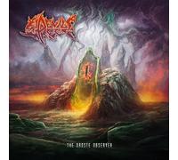 Devil's reef - The droste observer [Vinilo]