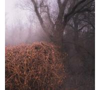 Devil'S Trade,the - Nincs Szennyezetlen Szép (Ltd Your Pieces Scattered Lp) [Vinilo]