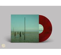 Devil's Witches In All Her Forms (Vinyl) (Importación USA)