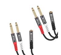 Devinal Cable estéreo de 1/8 a 1/4 pulgadas, TRS hembra de 3.5 mm a doble 6.35 mm 1/4 TS mono Y divisor de cable de audio, 1 pie (paquete de 2)