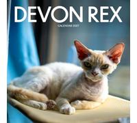 Devon Rex Calendar 2027: Curly Cats and Home Life