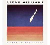 Devon Williams A Tear in the Fabric (Vinyl) 12" Album